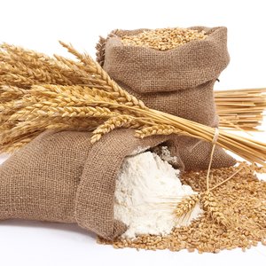 bigstock-Flour-and-wheat-grain-26703614-1.jpg