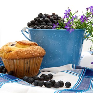 bigstock-Fresh-Blueberries-In-A-Pail-Wi-5786469.jpg