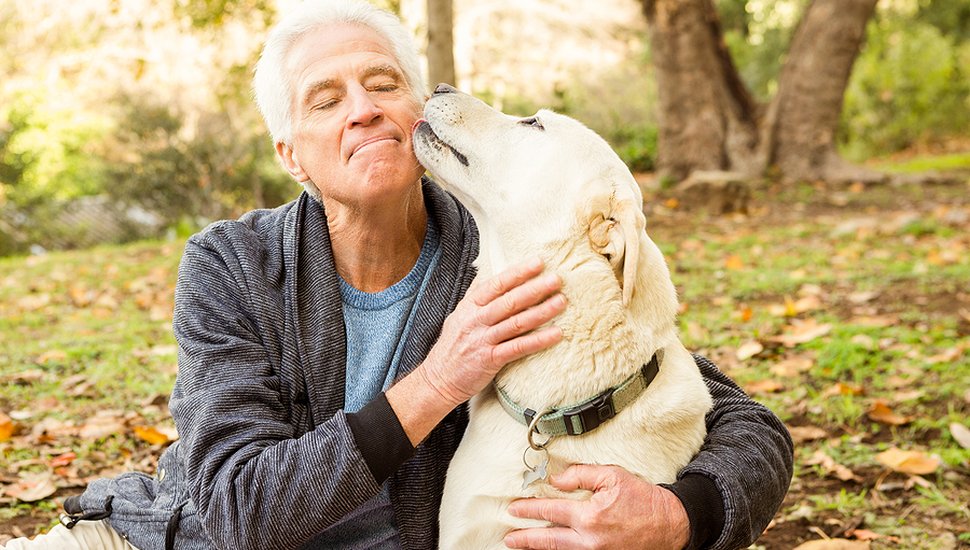 bigstock-Senior-man-with-his-dog-in-par-106459166.jpg