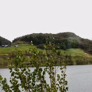 IMG_8574.jpg